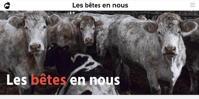 Projet étudiant au Cuej : Nos amis les bêtes